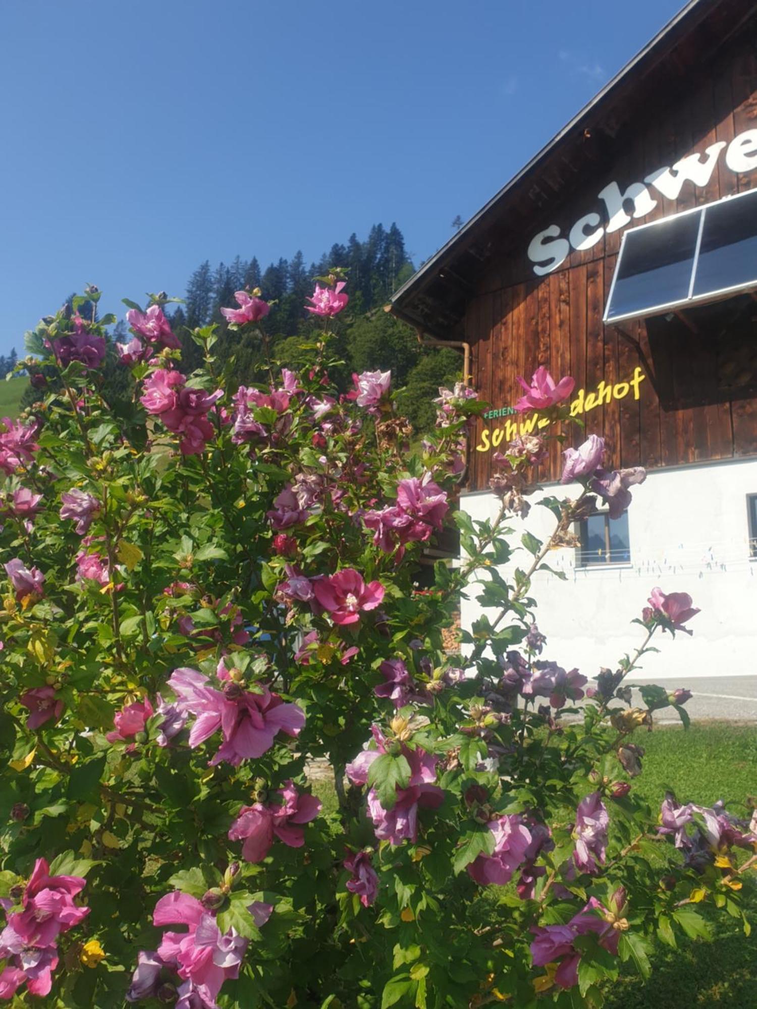 Ferienhaus Schwendehof Fontanella Esterno foto